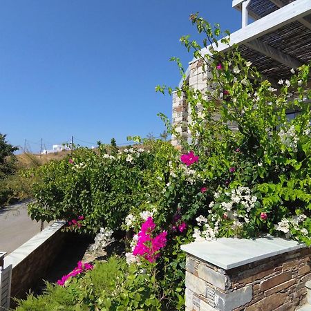 Aeolia Villas Karystos  Exterior foto