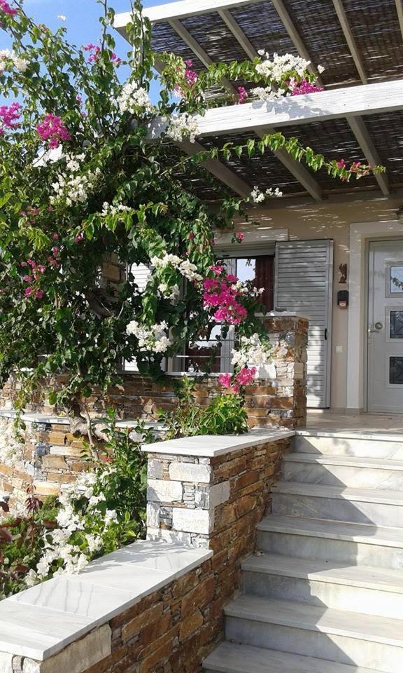 Aeolia Villas Karystos  Exterior foto